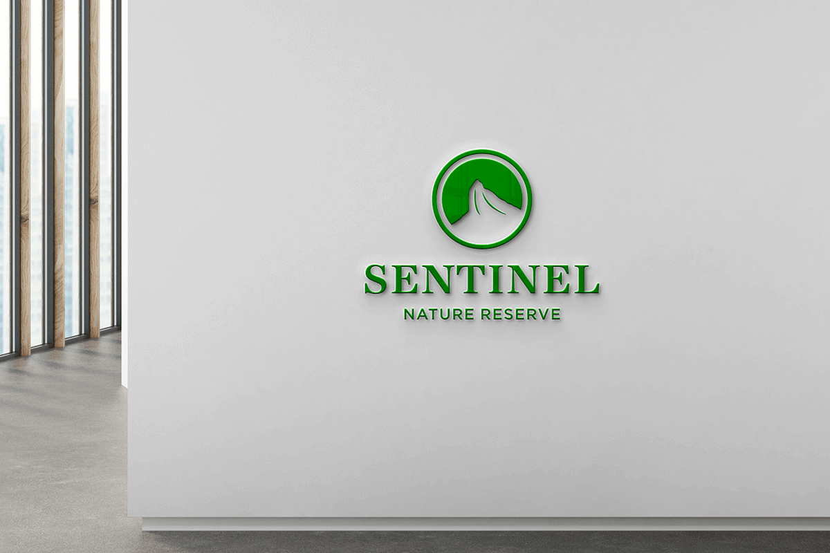 sentinel corporate logo design